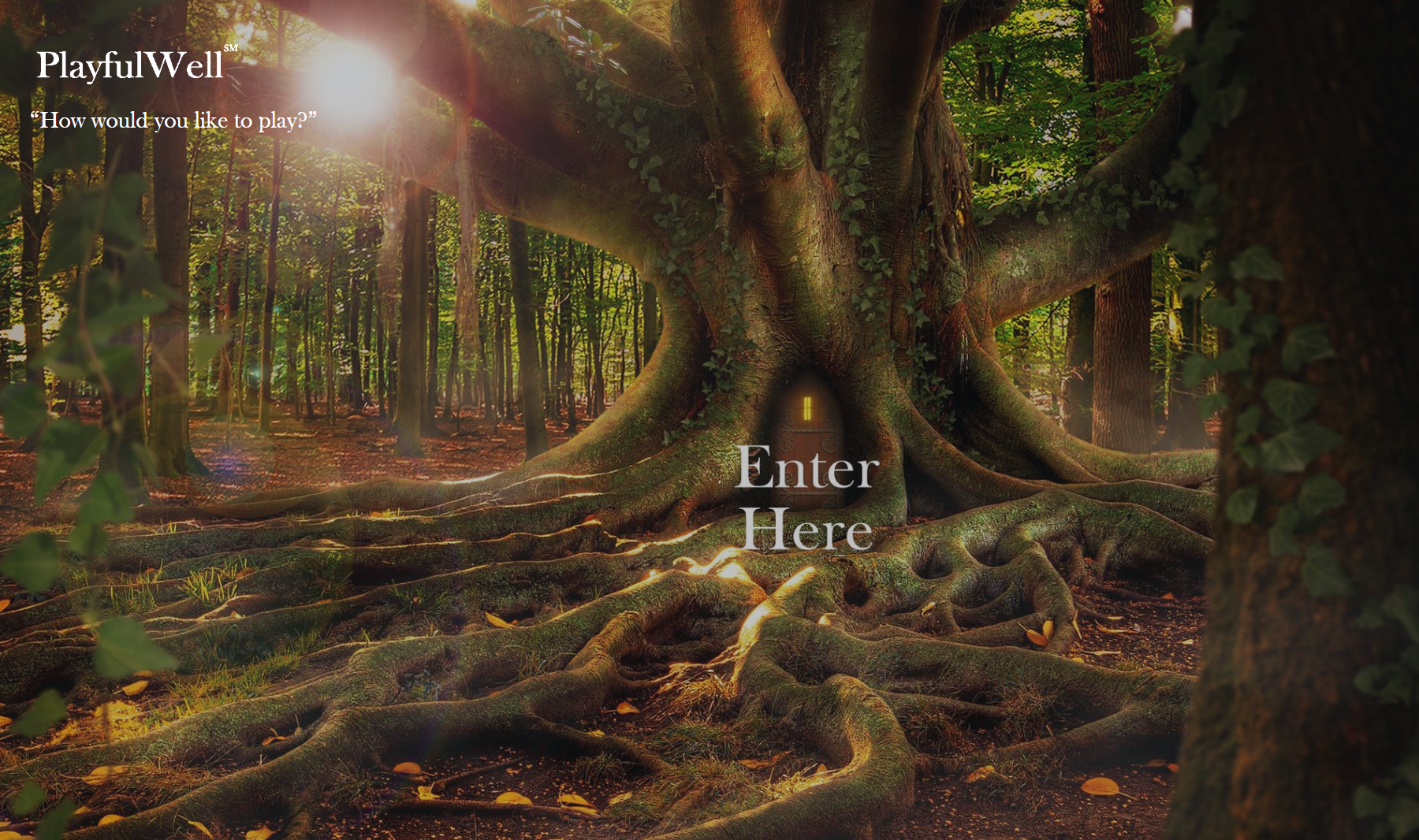 A picture of a forest with the words enter here on the bottom