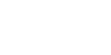 a white shark with a transparent background with a few lines on it