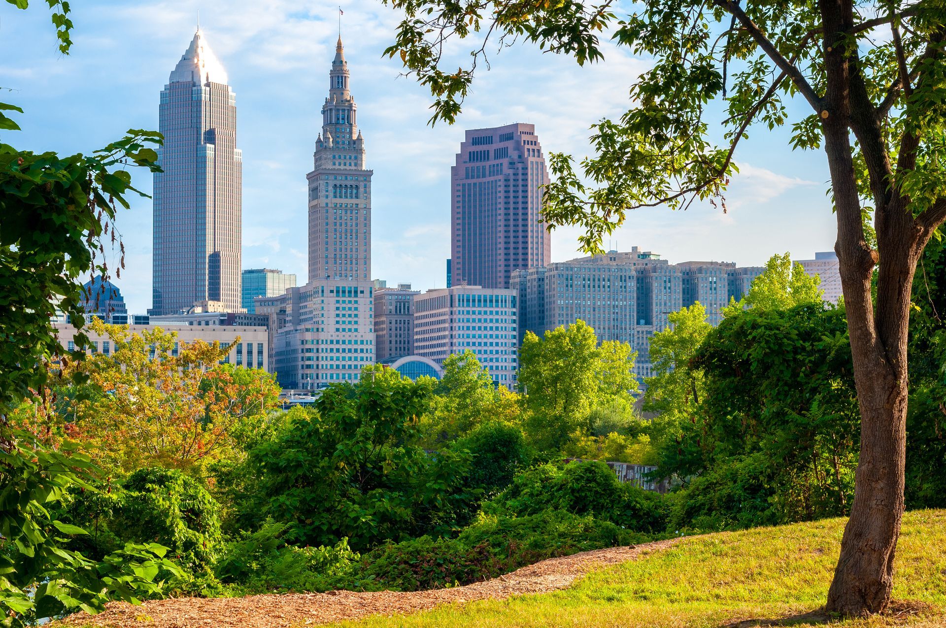 Cleveland skyline framed by green trees and foliage under a blue sky.