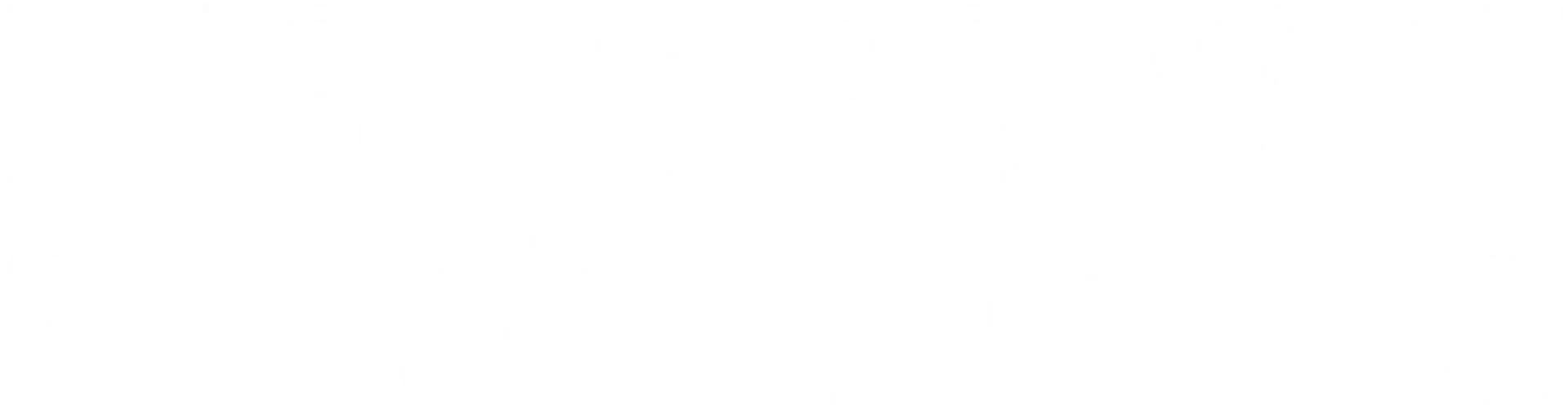 Empty white background.