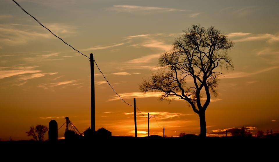 Sunset over a rural landscape with power lines and a silhouetted tree.