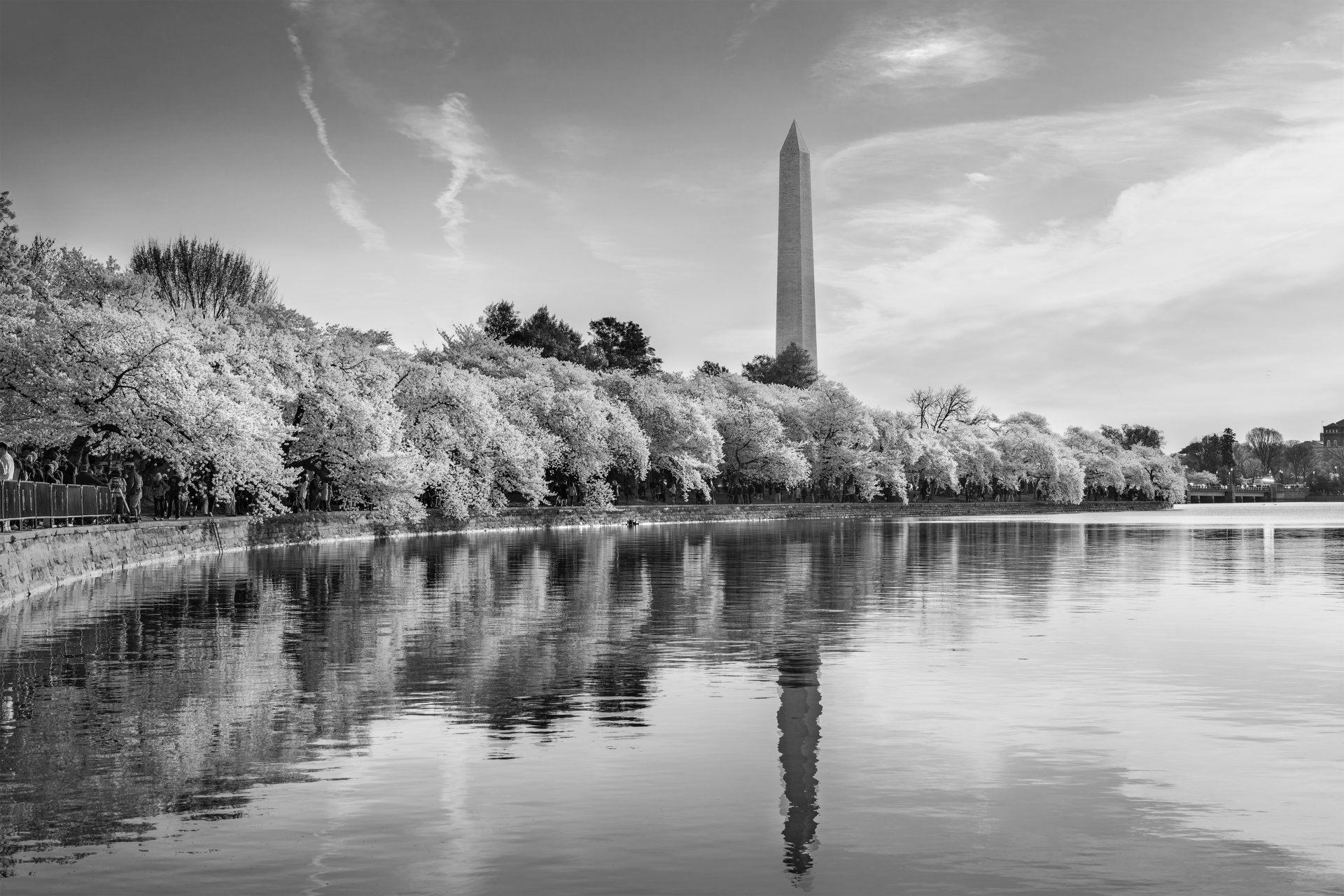 A black and white photo of a lake with trees and a tower in the background.