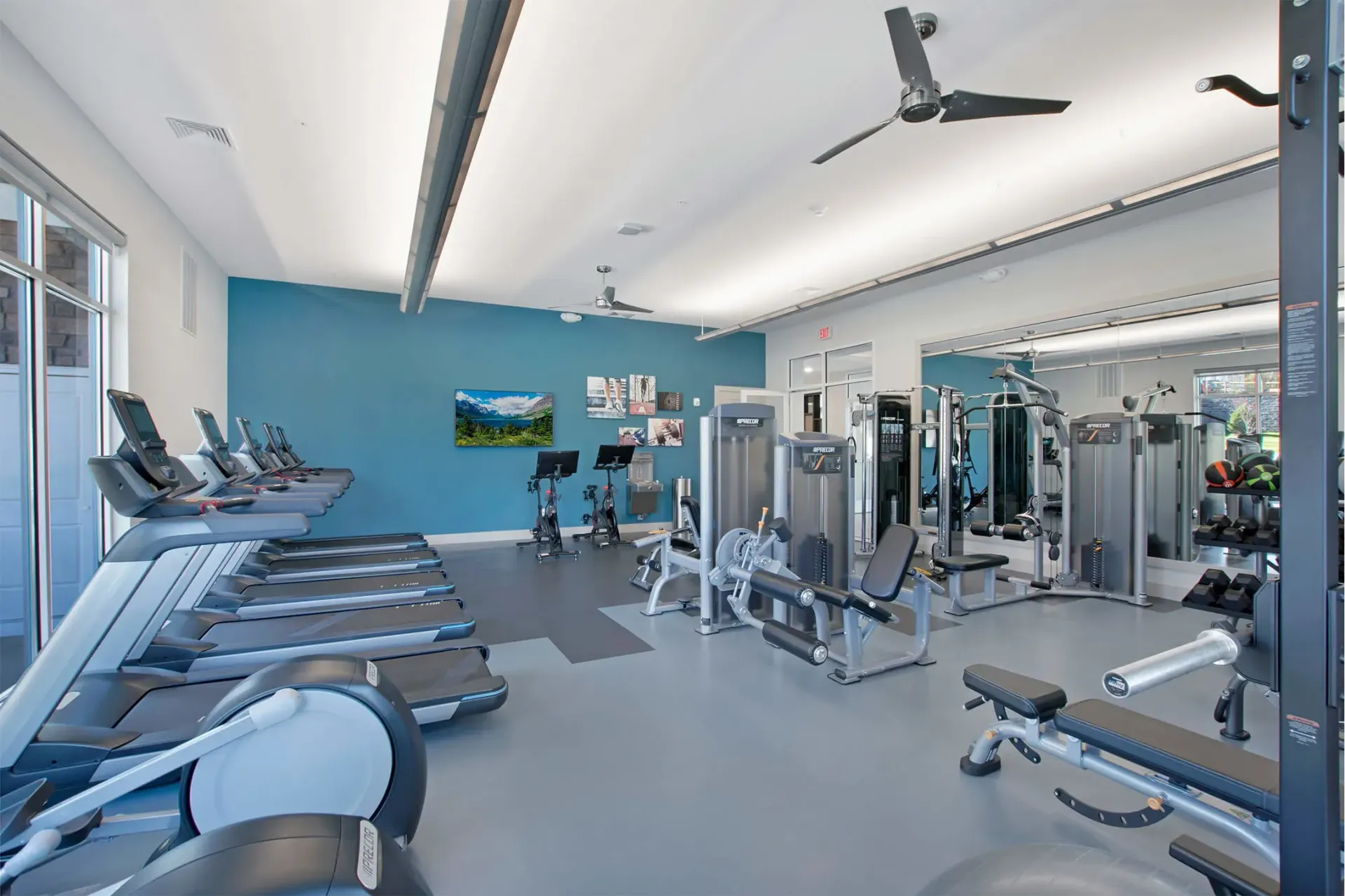 Gym interior with treadmills, weight machines, and a bench. Blue and gray color scheme.