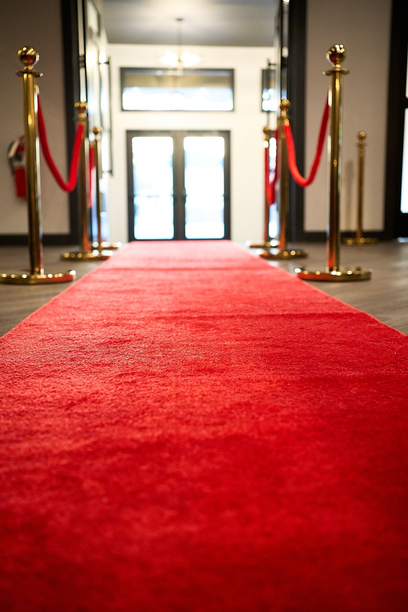 A red carpet is lined up in a hallway between gold poles.