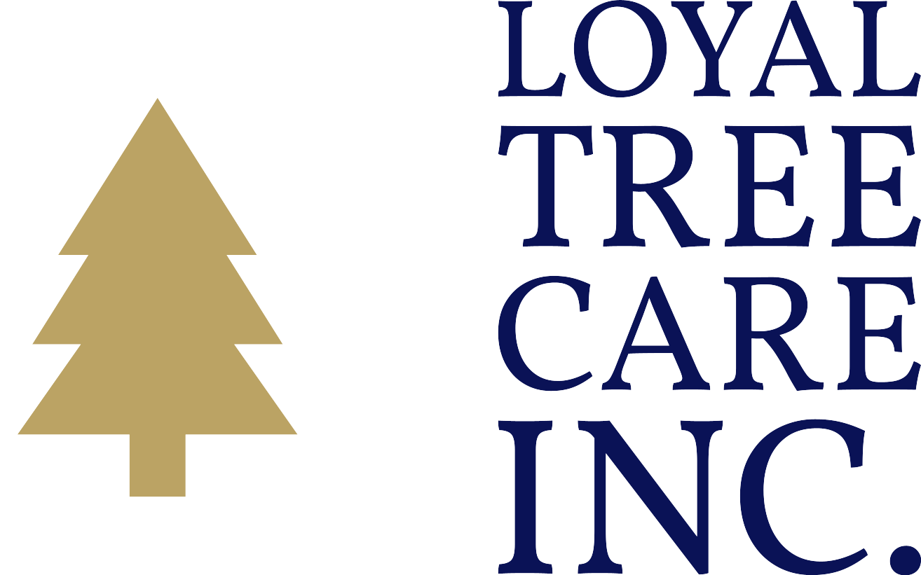 Loyal Tree Care Inc