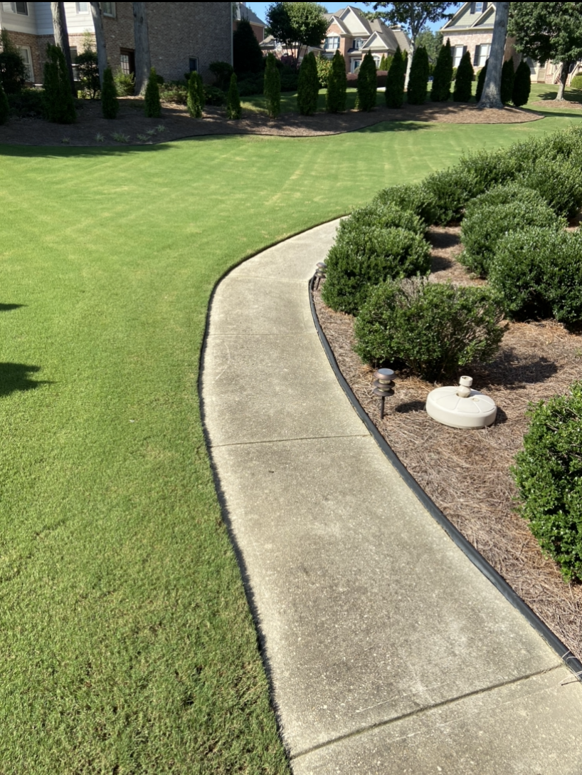 A dirty concrete walkway leading to a lush green lawn.