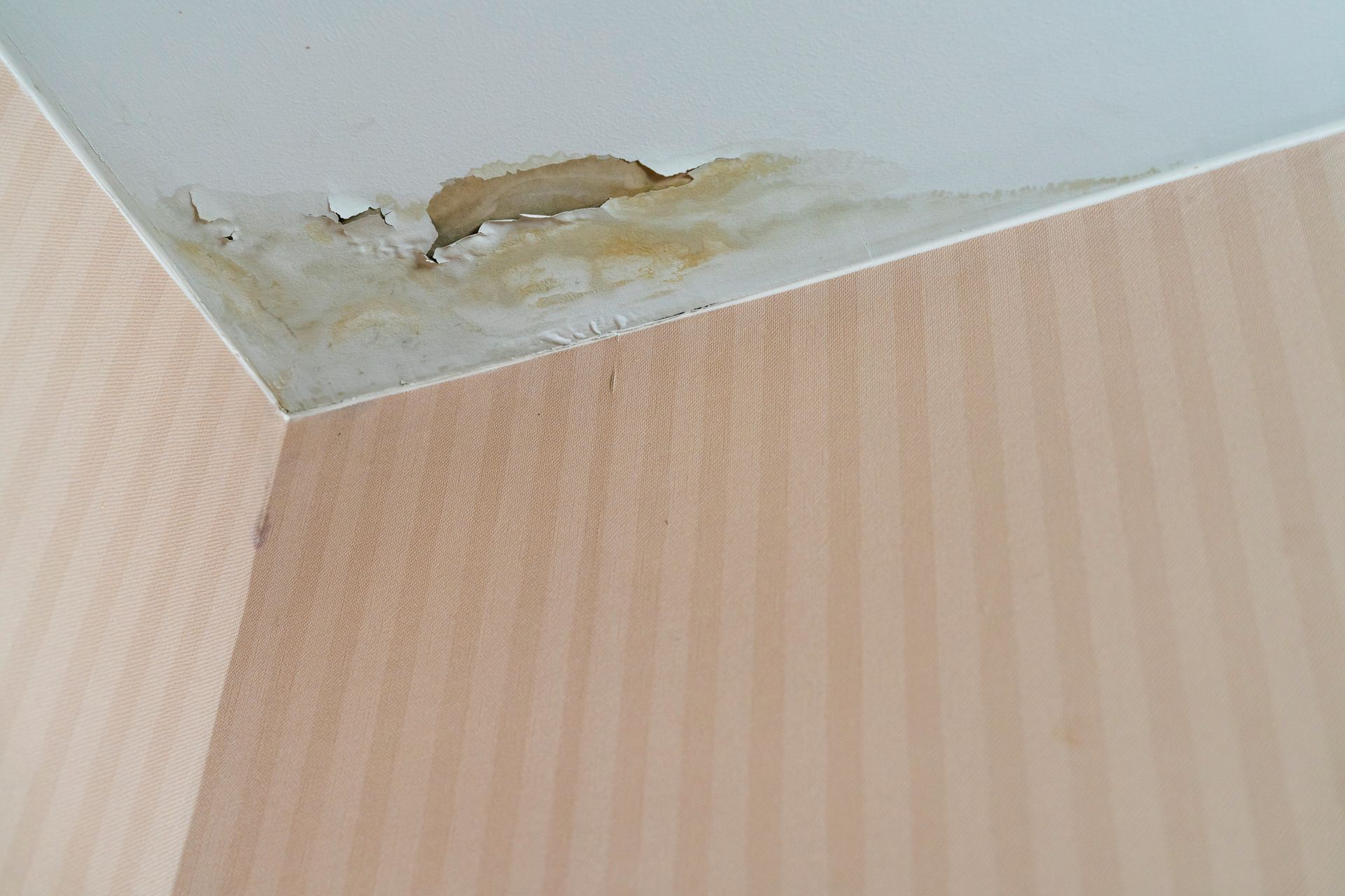 Water-stained ceiling corner with peeling paint and discoloration from a hidden leak.