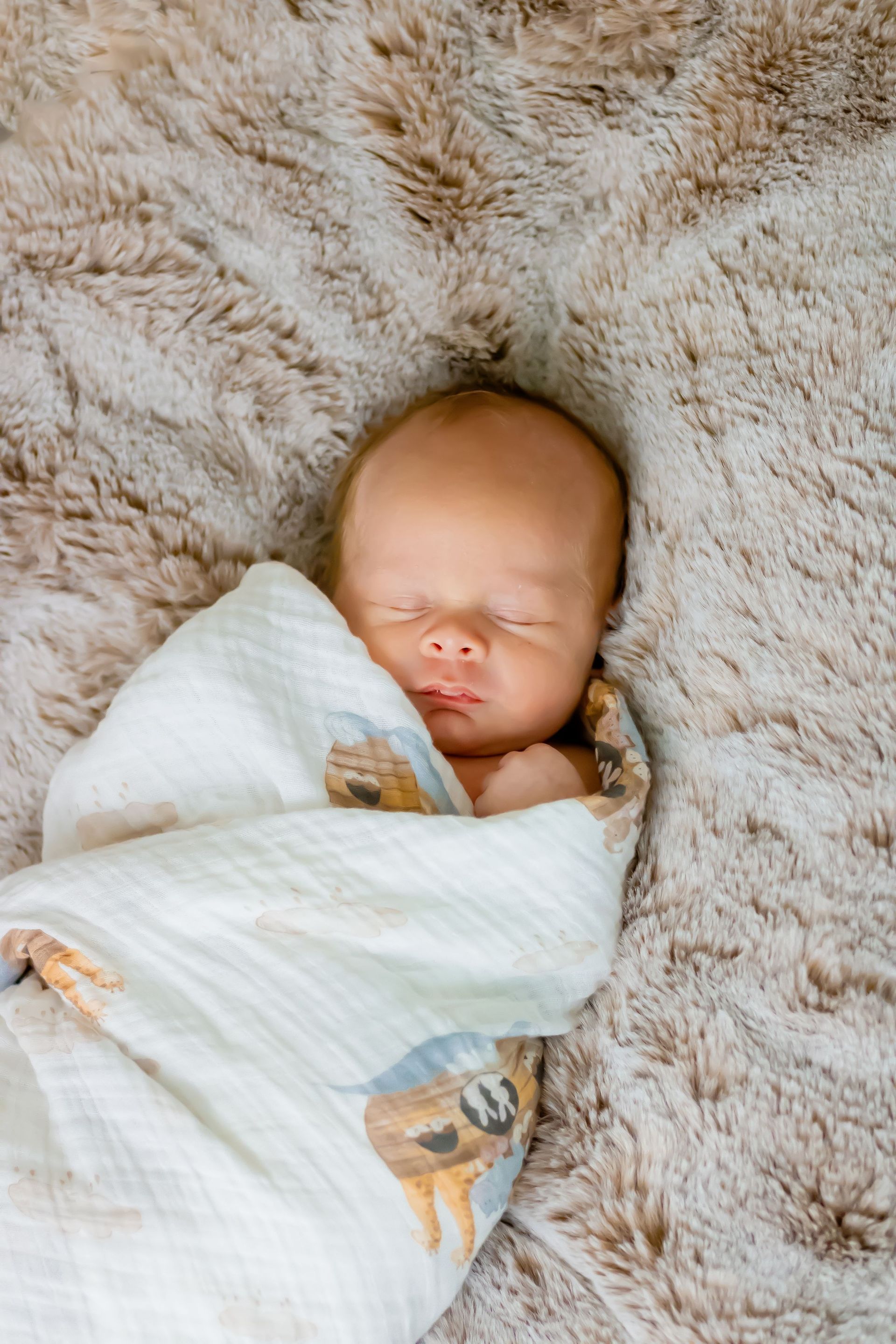 beautiful-gift-photography-img