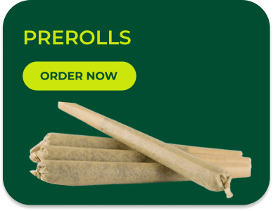 Green graphic with prerolls, 