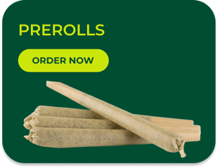 Green graphic with prerolls, 
