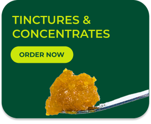 Green banner with text 