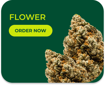 Green cannabis flower bud with 