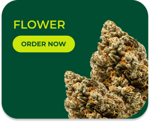 Green cannabis flower bud with 