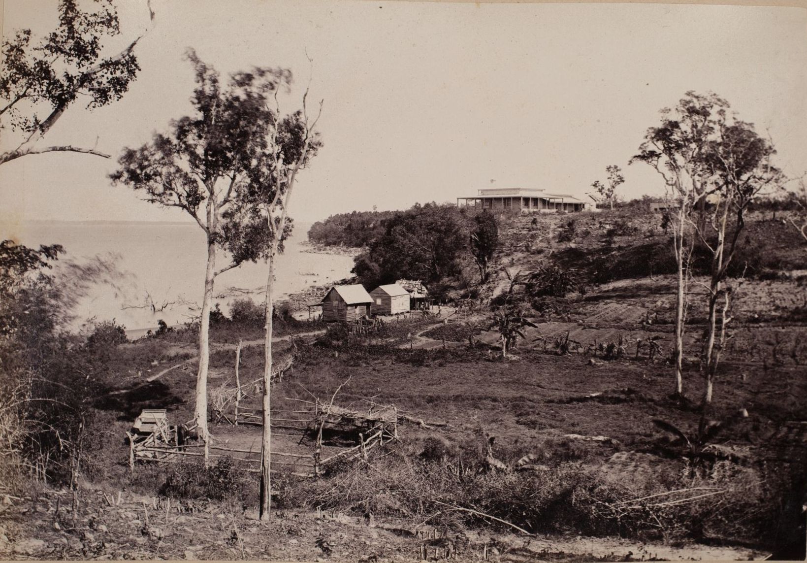 A black and white photo of a landscape with trees and houses