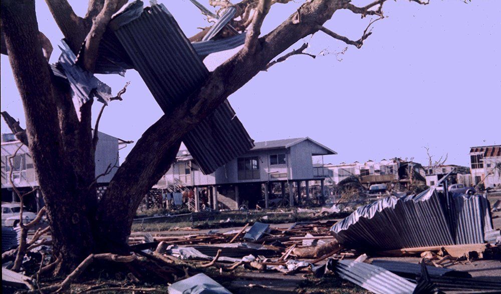 A tree with a roof that has fallen off of it