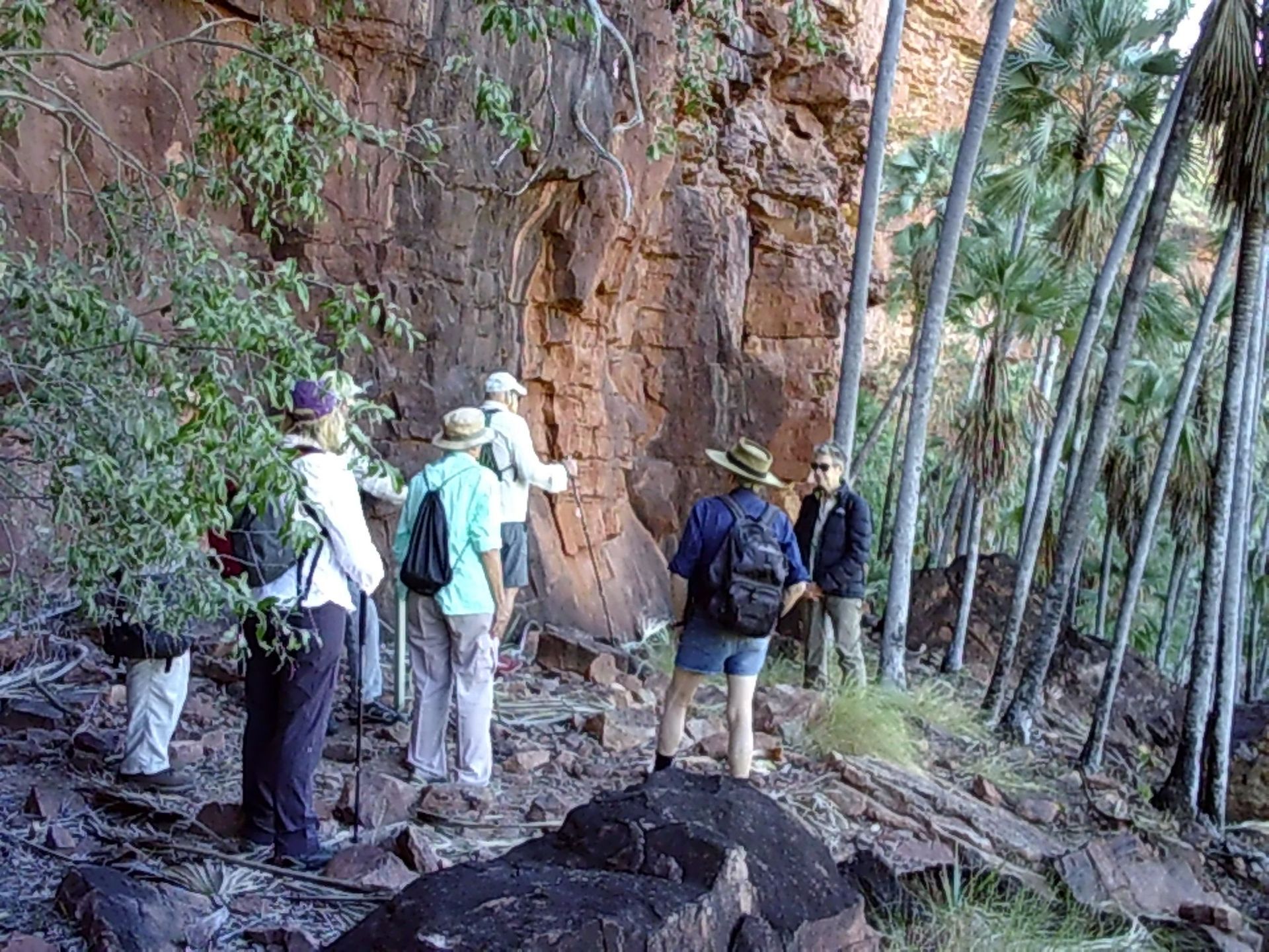 A group of people are standing on a rocky path in the woods.