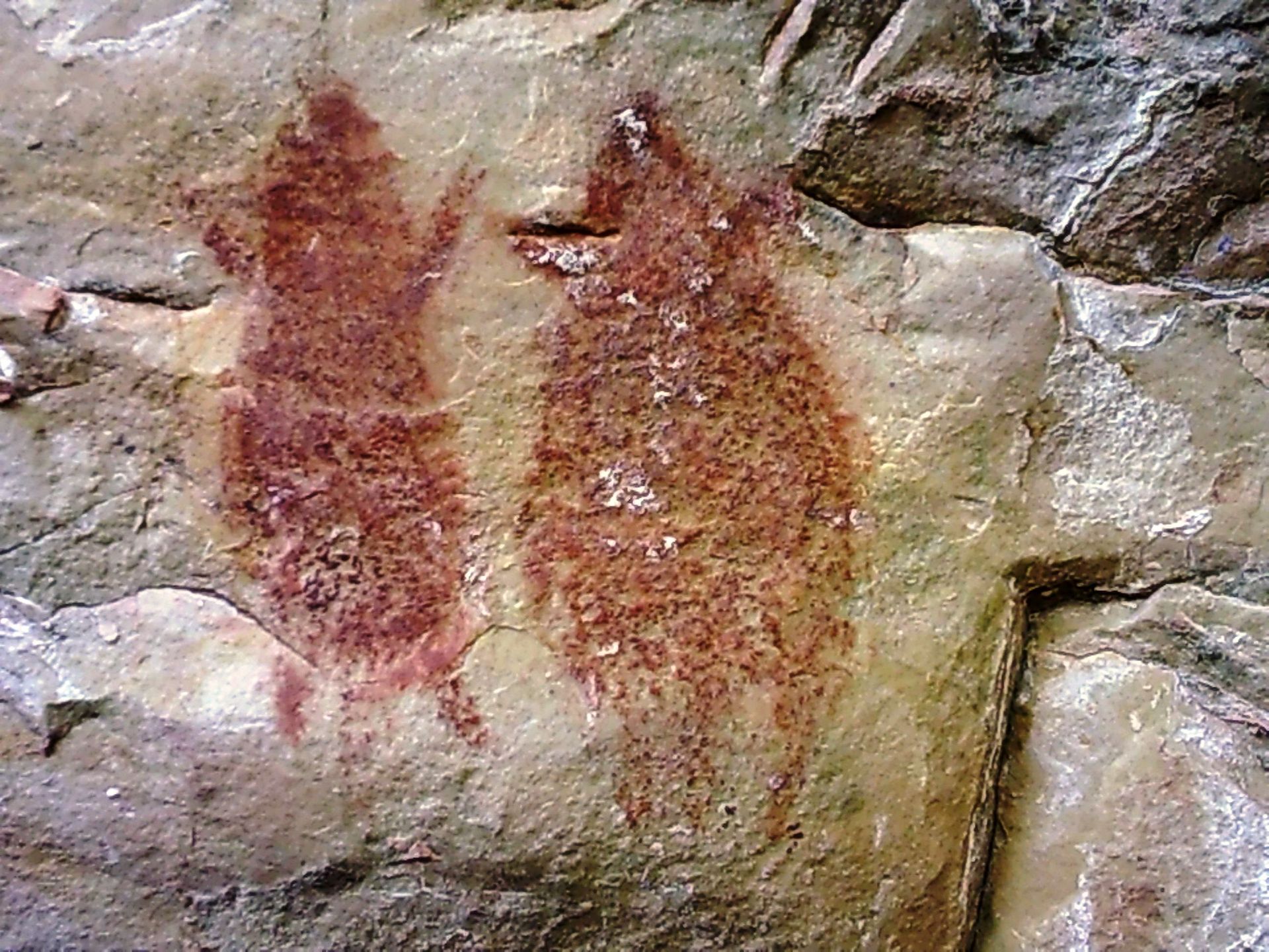 A close up of a rock with a painting on it.