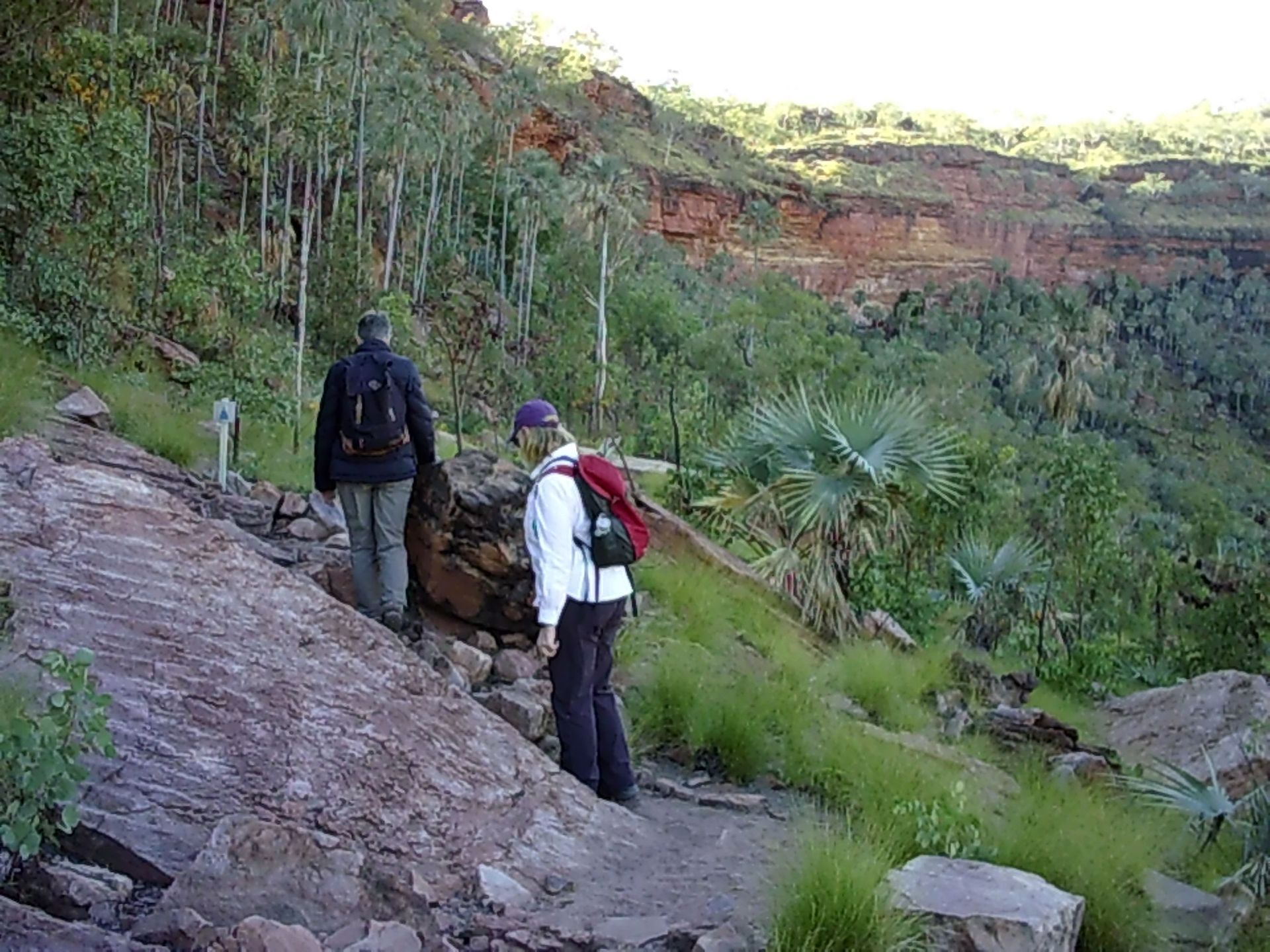 A man and a woman are hiking up a hill.