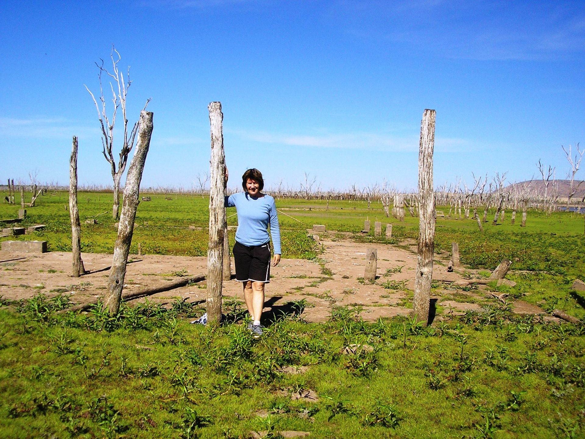 A woman in a blue shirt is standing in a grassy field