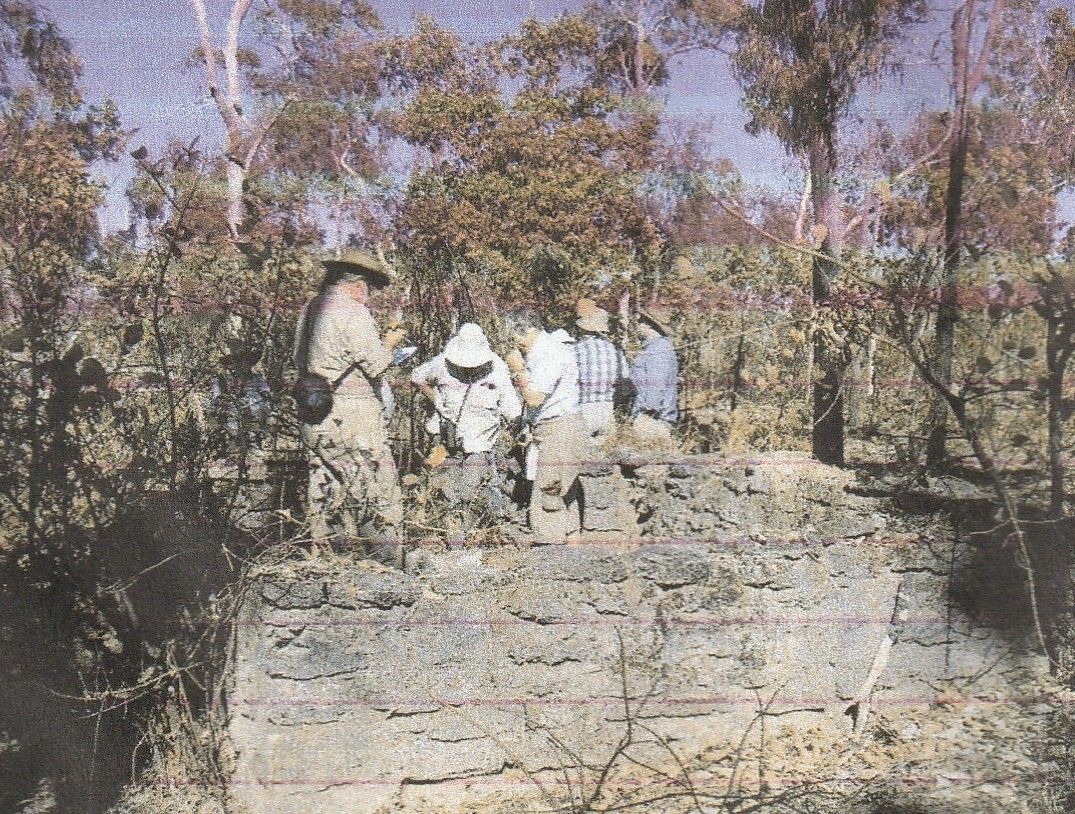 A large body of water surrounded by trees on a sunny day