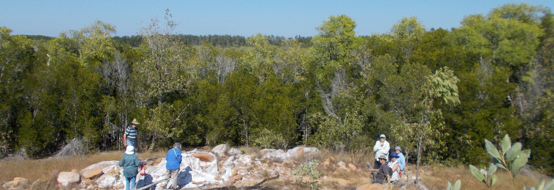 A group of people are standing on top of a hill surrounded by trees.