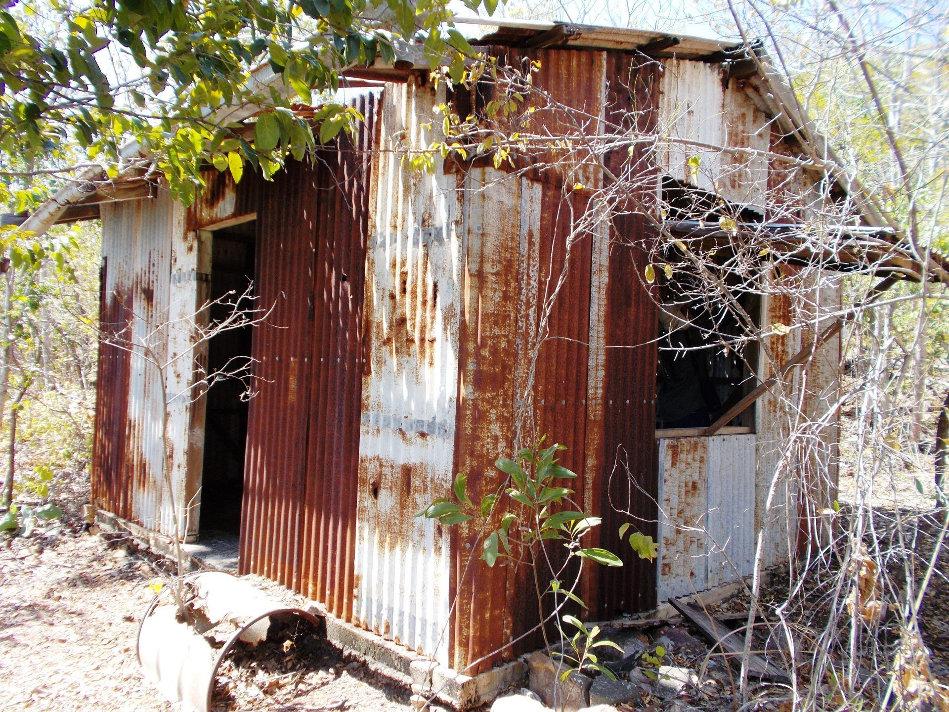 A rusty tin shed with a window and a door