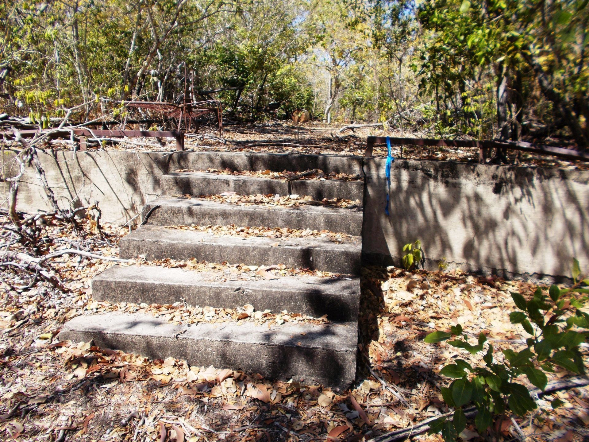 A set of stairs leading up to a concrete wall in the woods.