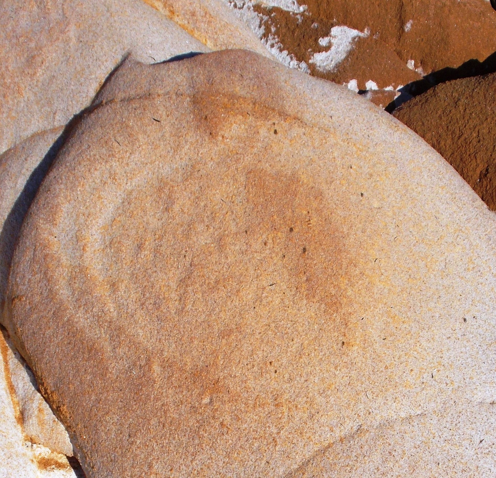 A close up of a rock that looks like bread