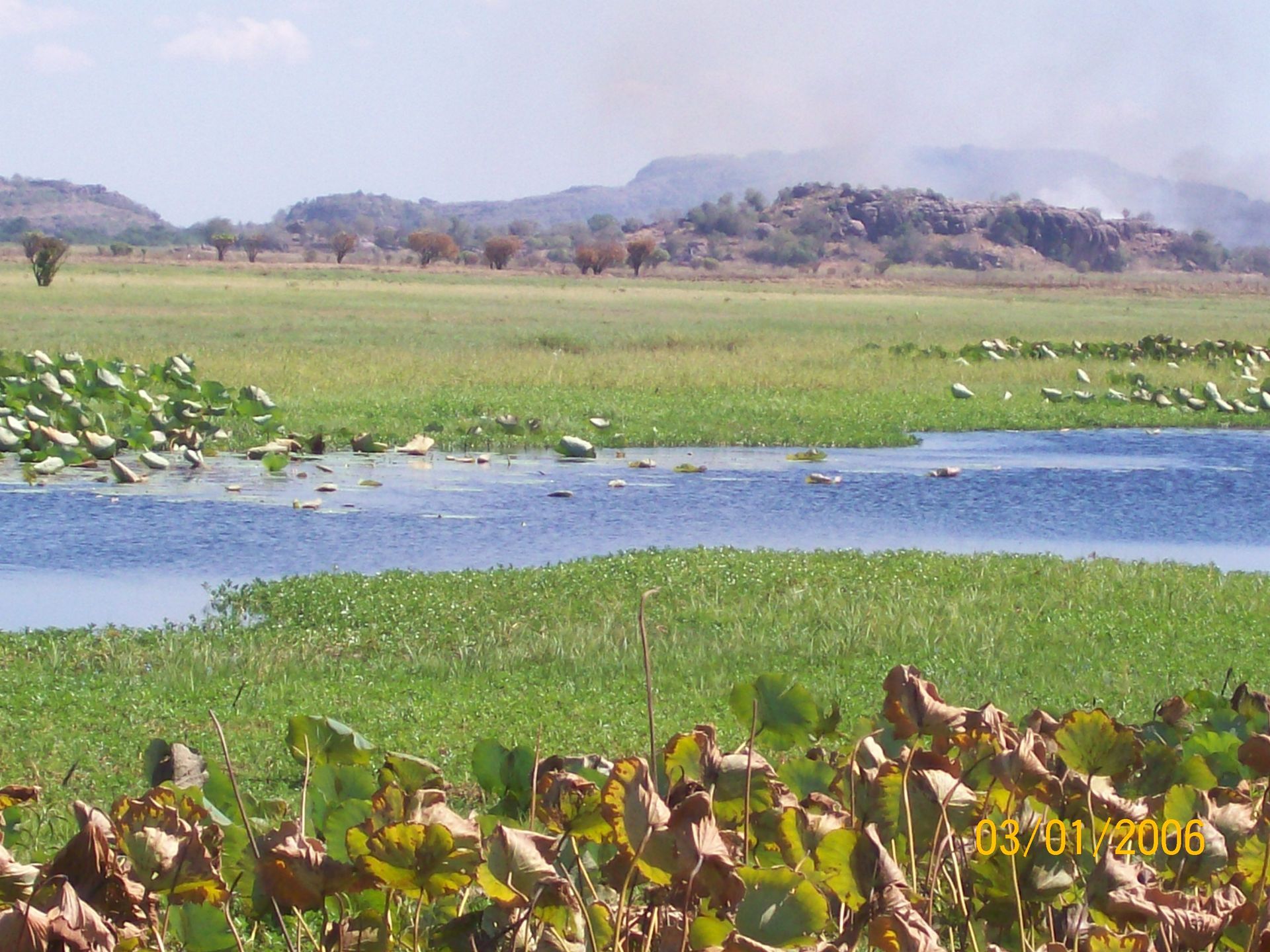 A river runs through a grassy field with mountains in the background