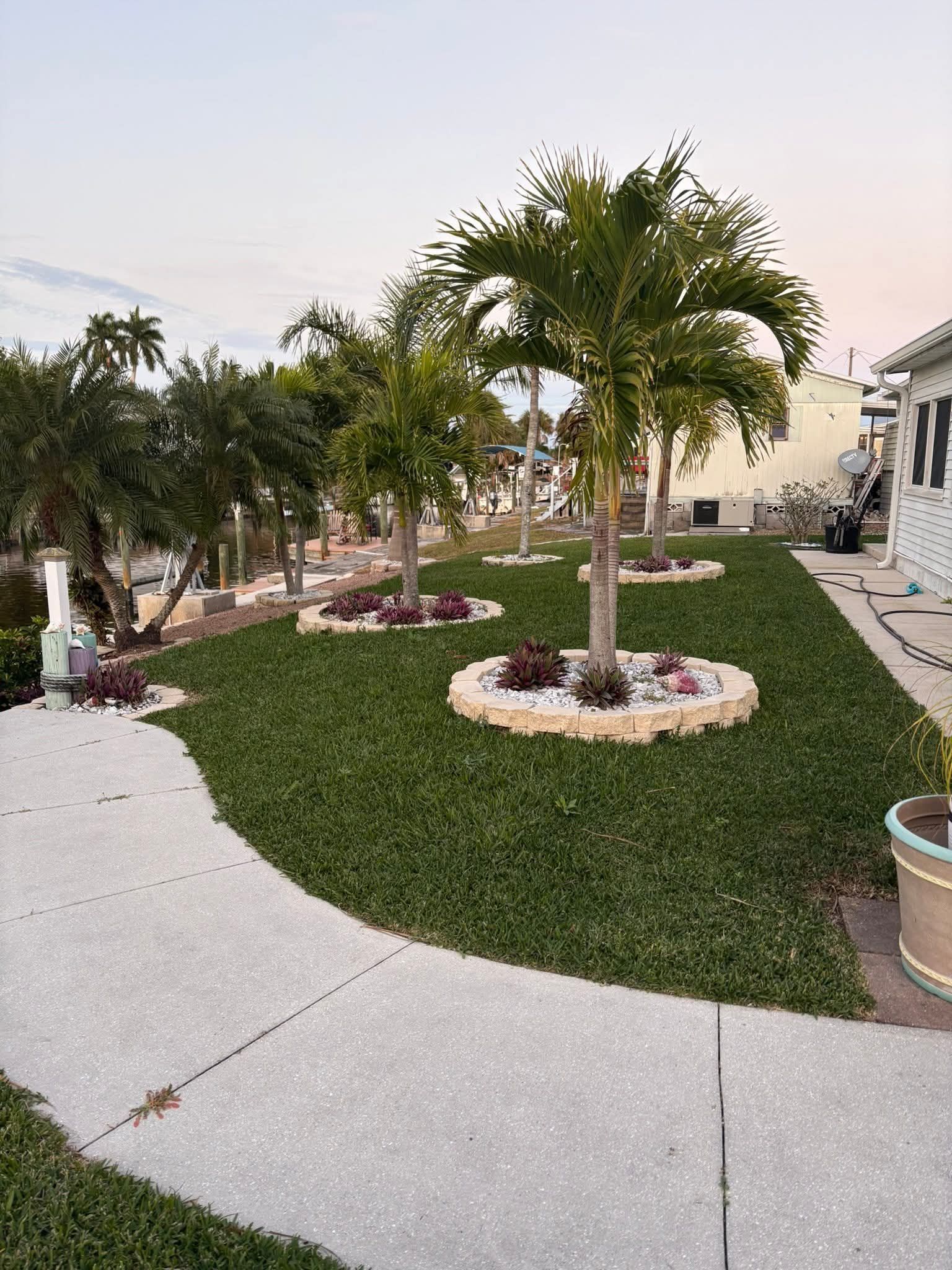 A manicured lawn features three palm trees in circular stone-bordered beds with white rocks, adjacent to a paved walkway.