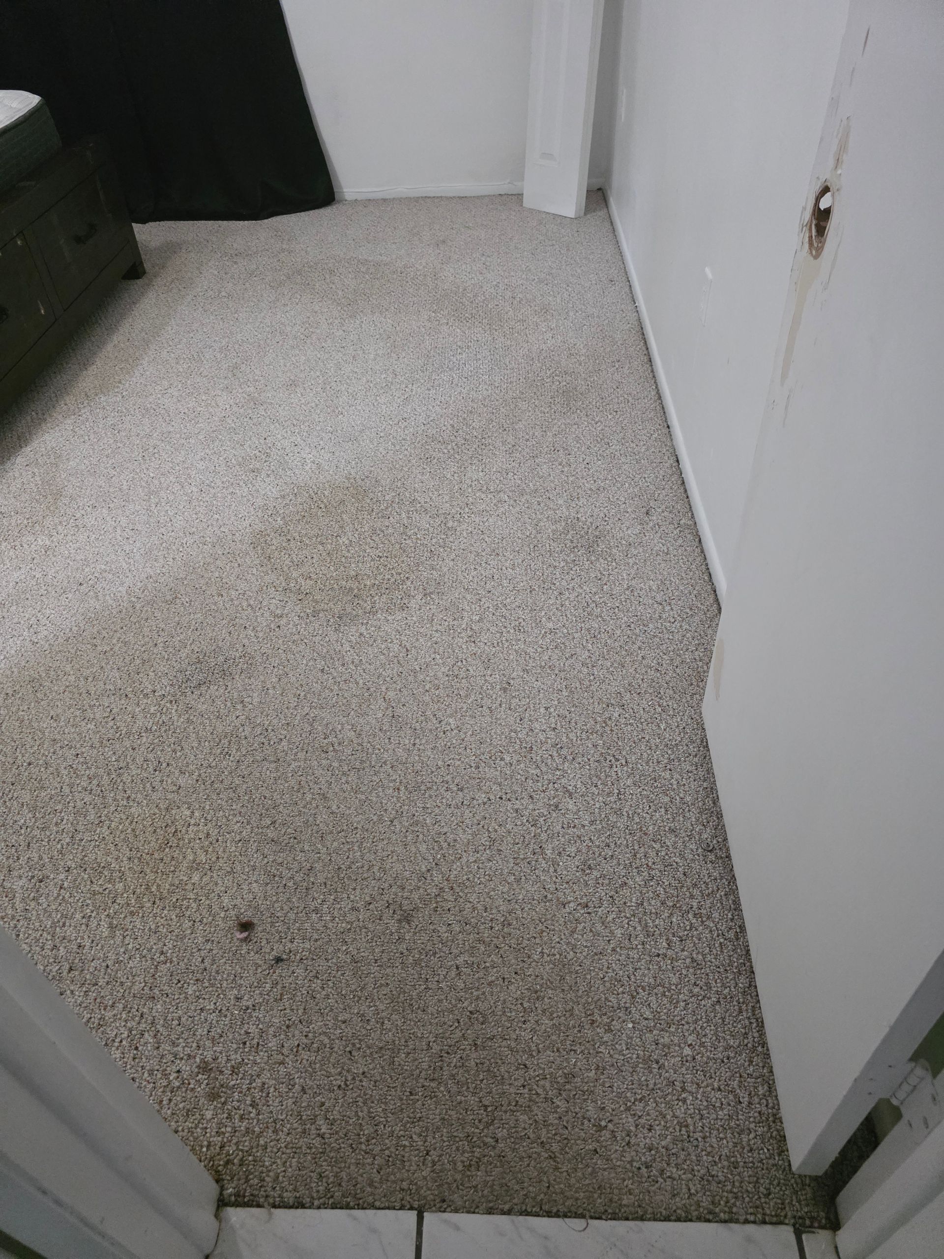 A high-angle view of a speckled, light-colored carpet in a room with white walls, a dark piece of furniture, and a doorway.