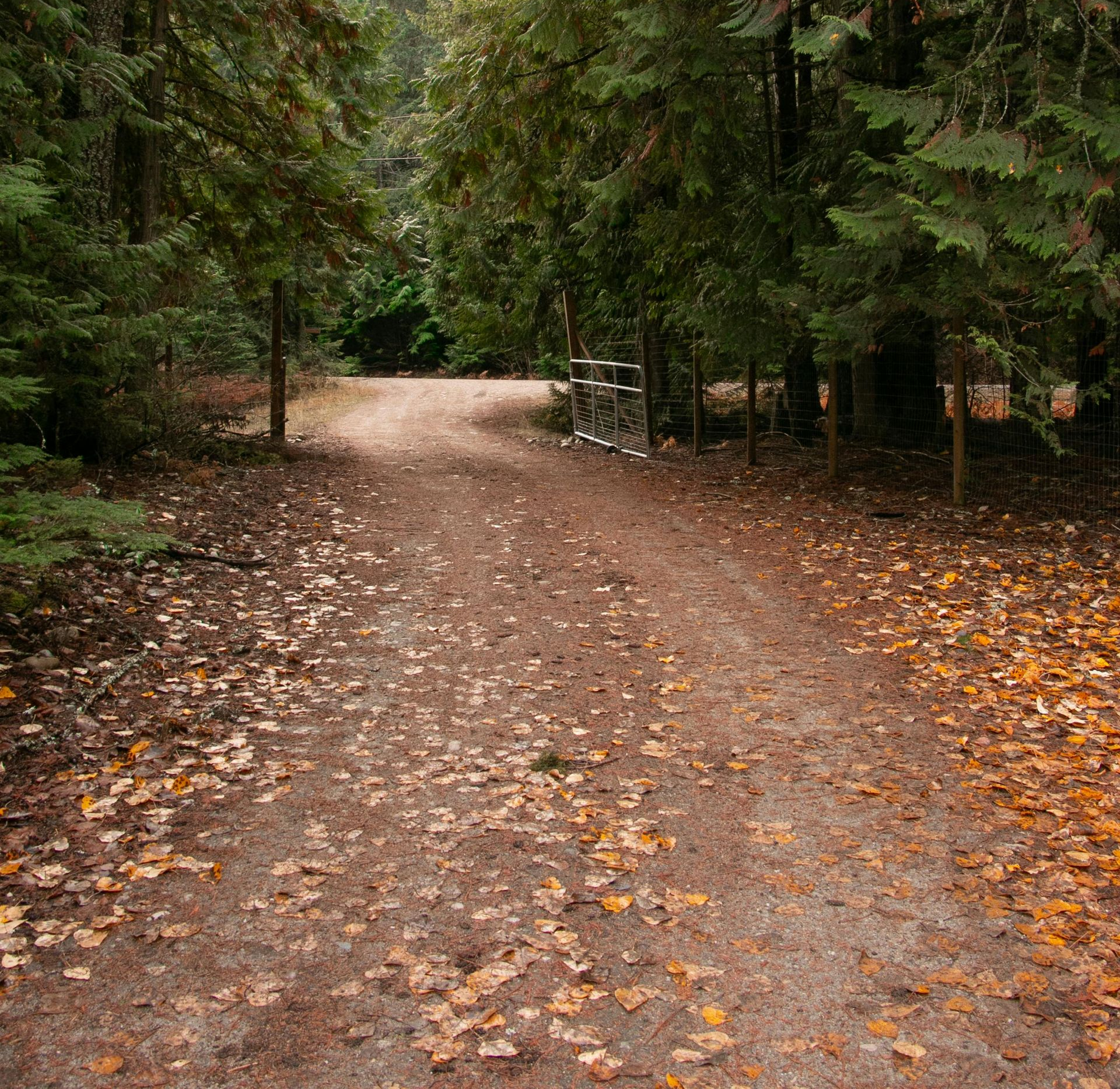 A man is laying tiles on the floor in a living room.