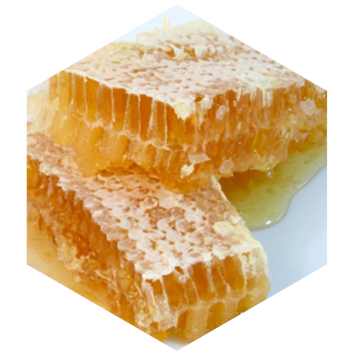 McCoy's Florida Honey honeycombs