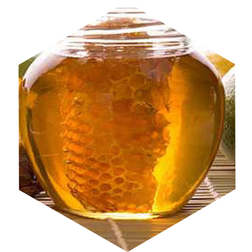 McCoy's Florida Honey Honeycomb preserved in jar of honey.