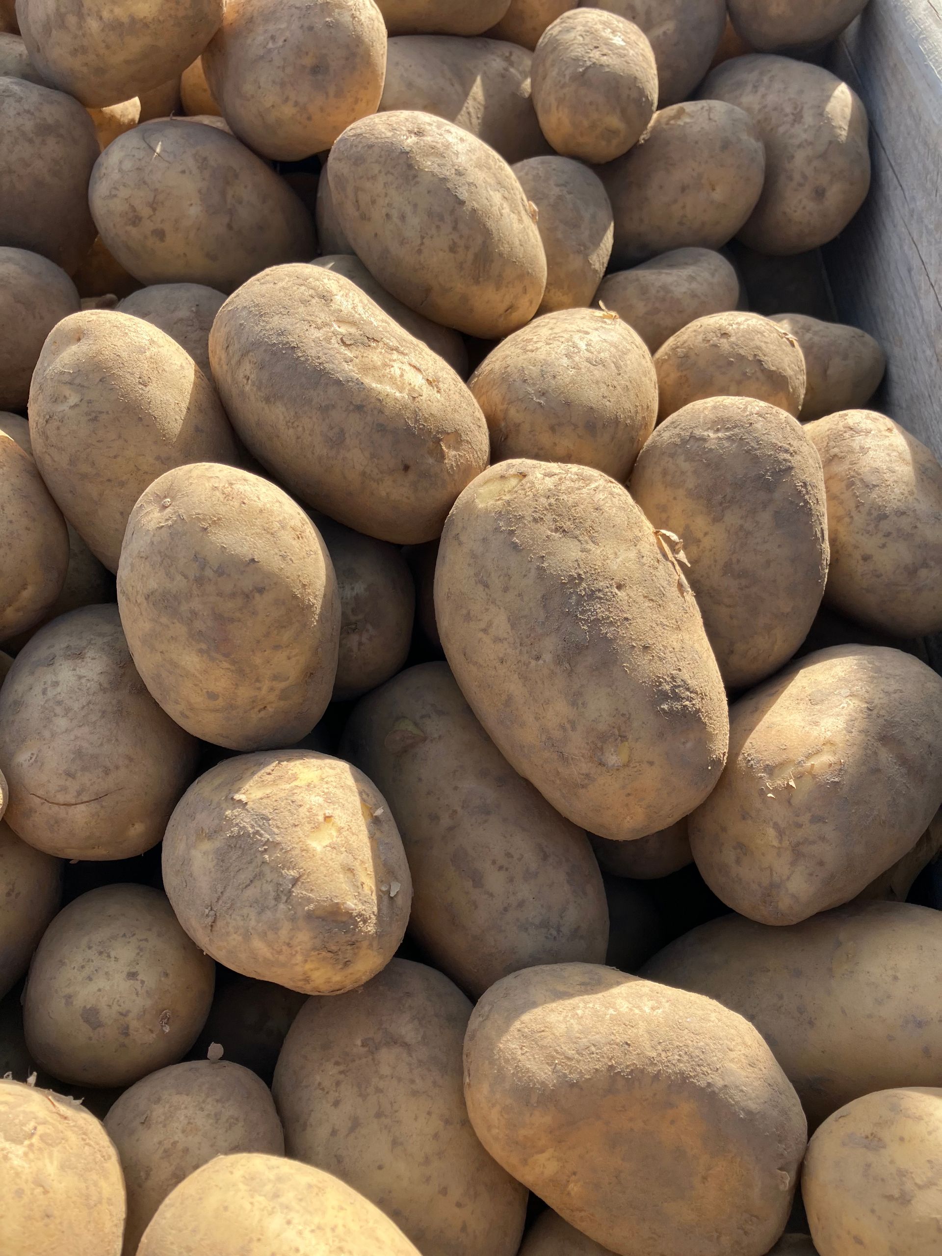Trois caisses en bois ; deux remplies de légumes verts à feuilles, celle du bas de pommes de terre brunes.