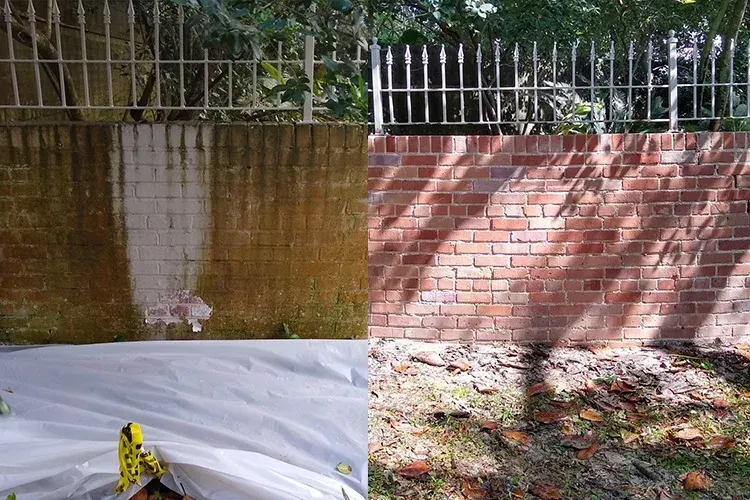 A before and after picture of a brick wall being cleaned.