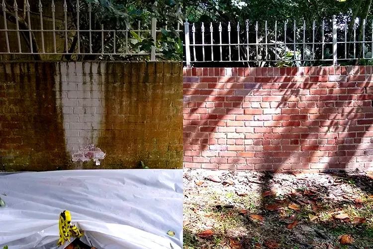 A before and after picture of a brick wall being cleaned.