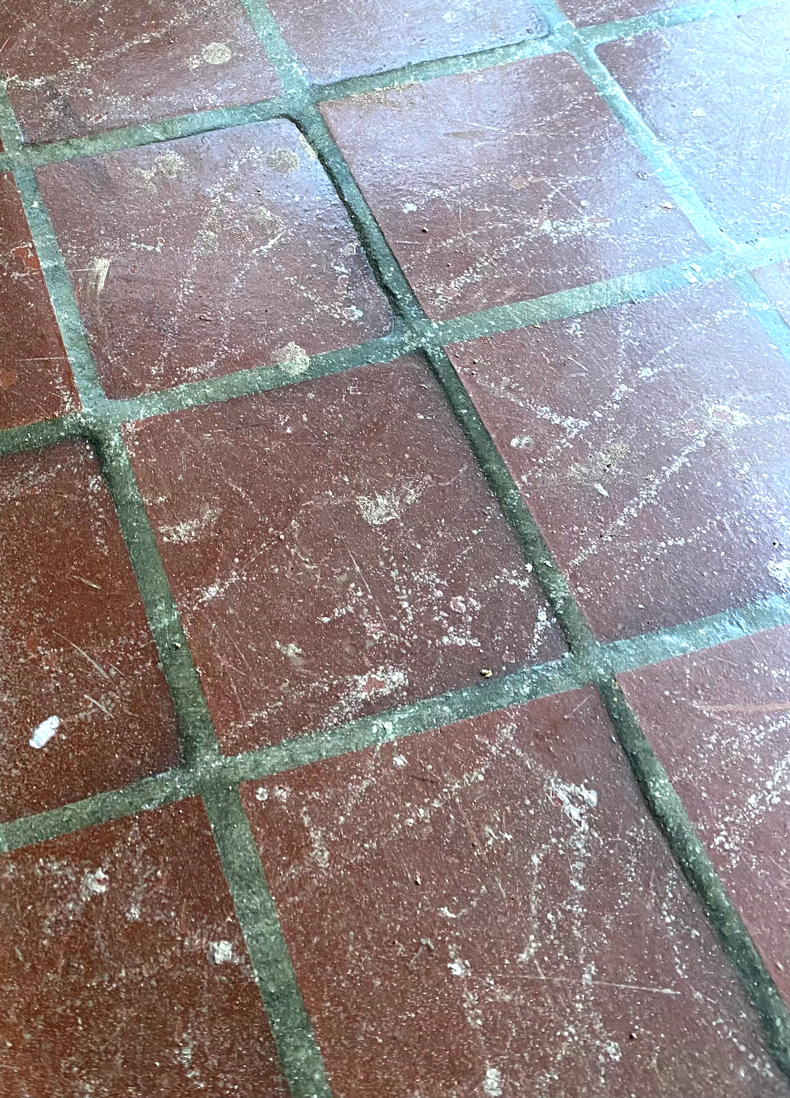 A close up of a tiled floor with a green border.