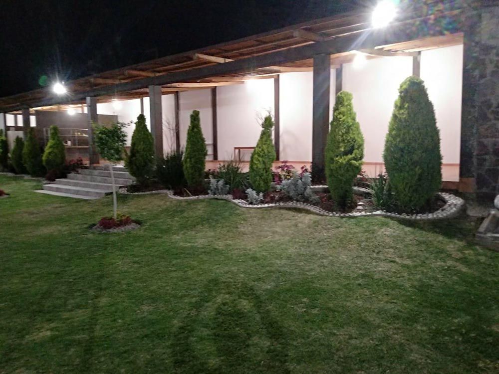 Césped con árboles perennes verticales, patio cubierto e iluminación nocturna.
