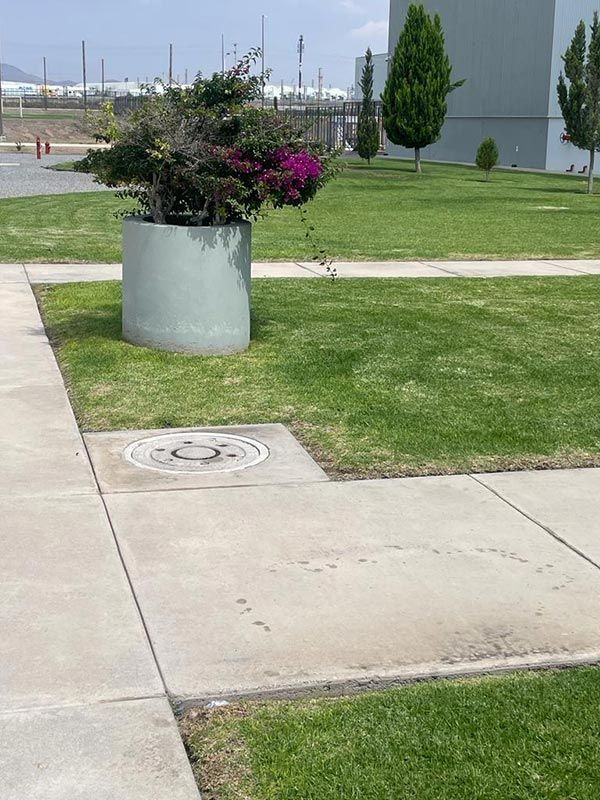 Gran jardinera cilíndrica con planta morada en flor sobre una pasarela de hormigón con césped, cerca de un edificio.