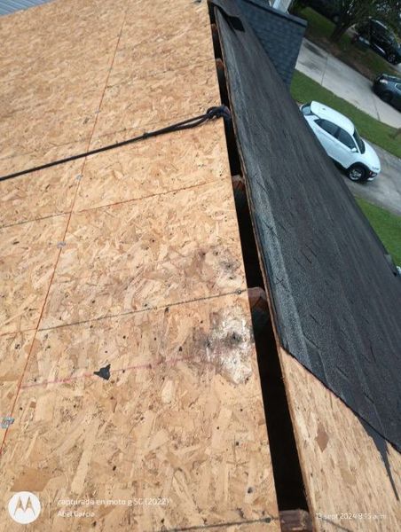 OSB roof decking exposed next to existing asphalt shingles