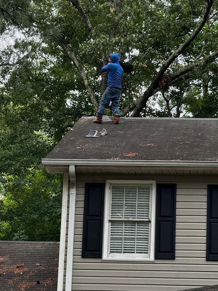 Man on roof pruning a tree