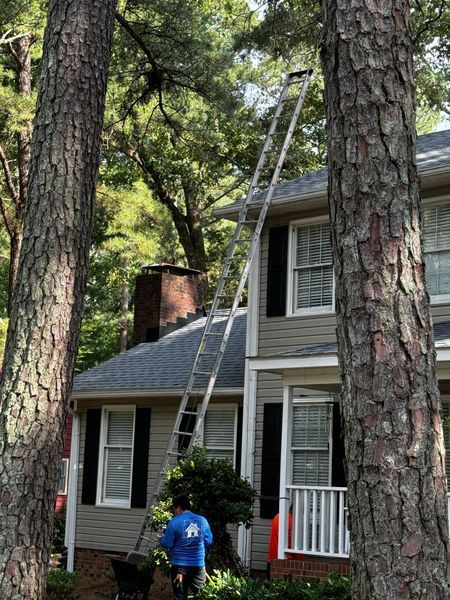 A tall ladder leaning against a house, between two trees