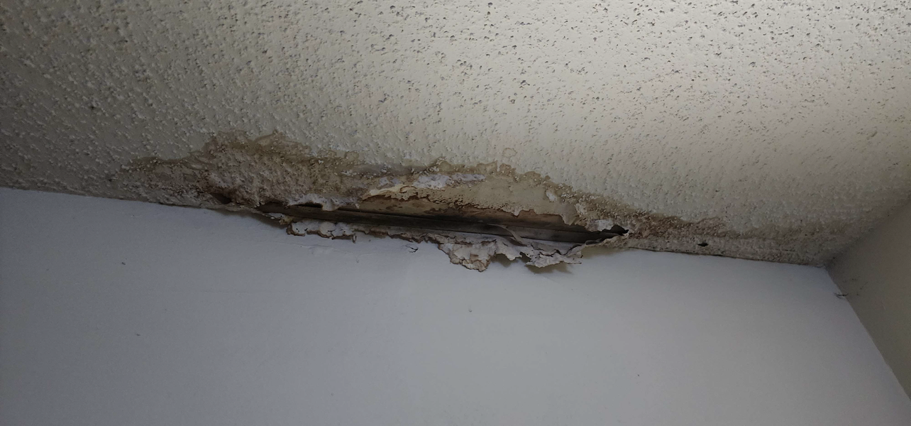Water damage and mold on a textured ceiling above a white wall