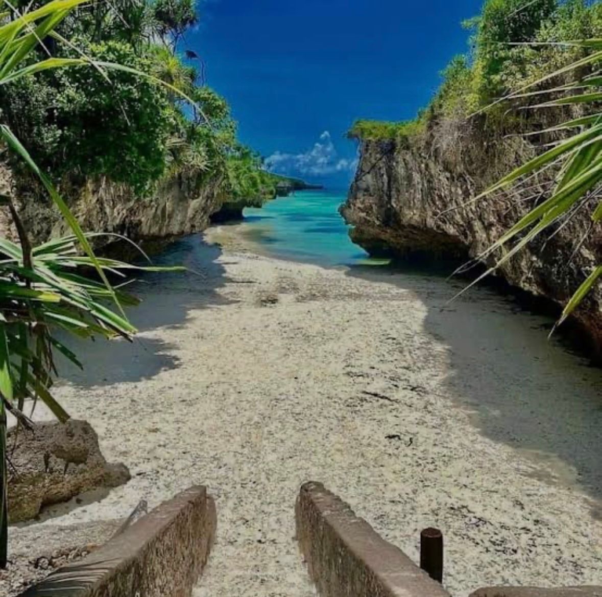A beach surrounded by rocks and trees on a sunny day.