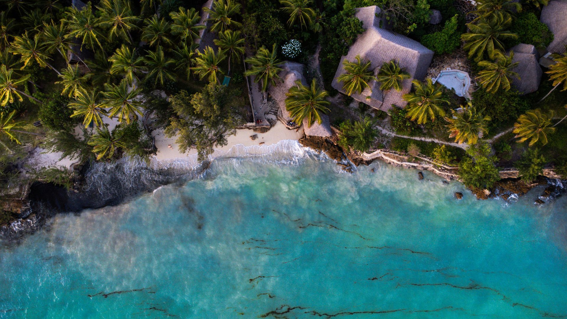 A man and a woman are scuba diving in the ocean.
