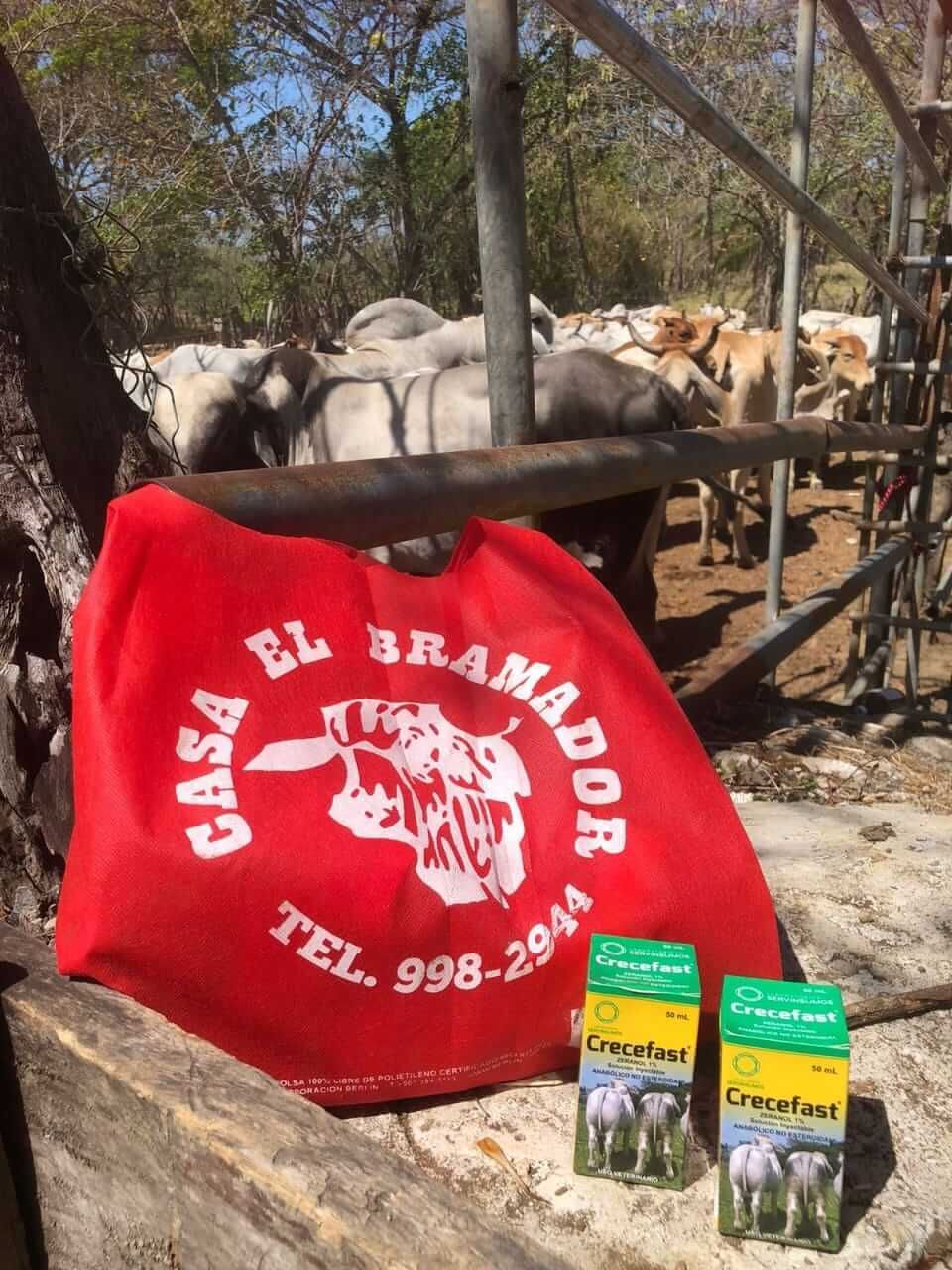 Casa el Bramador - Productos Veterinarios e Insumos Agrícolas