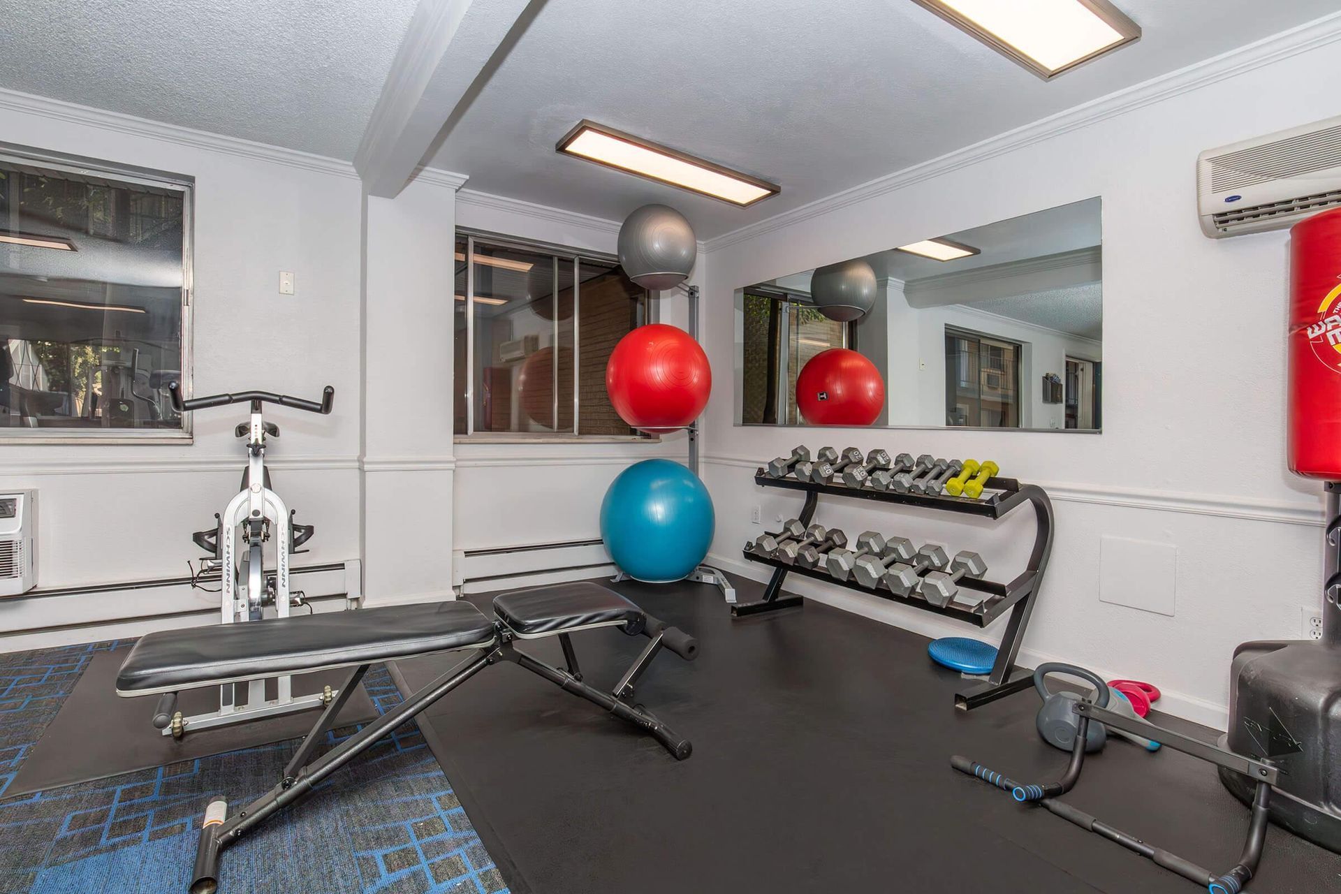 Gym interior with exercise equipment: stationary bike, weights, punching bag, and exercise balls.