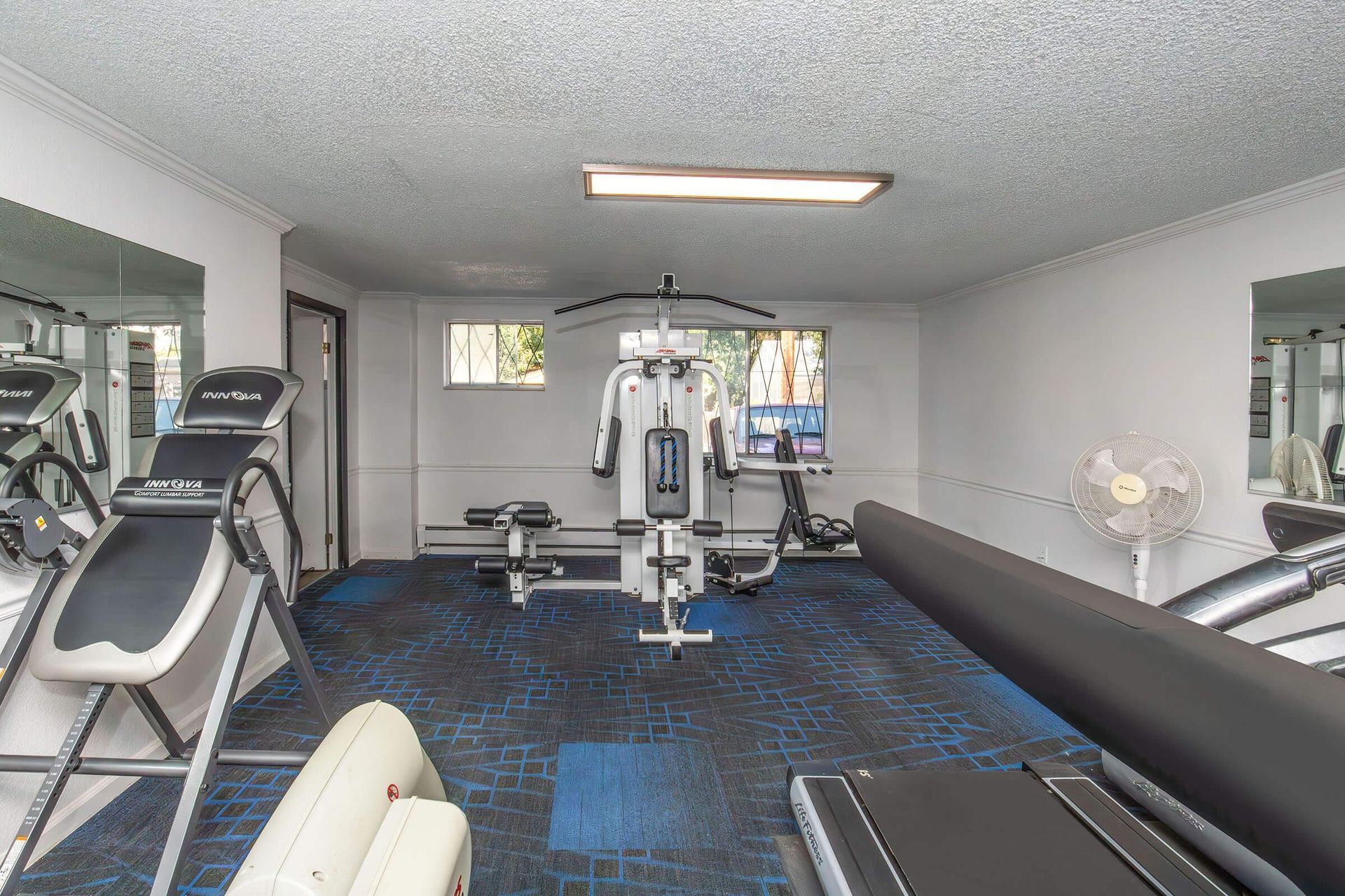 Gym with various exercise machines on a blue and black carpet. Mirrors and a window are visible.
