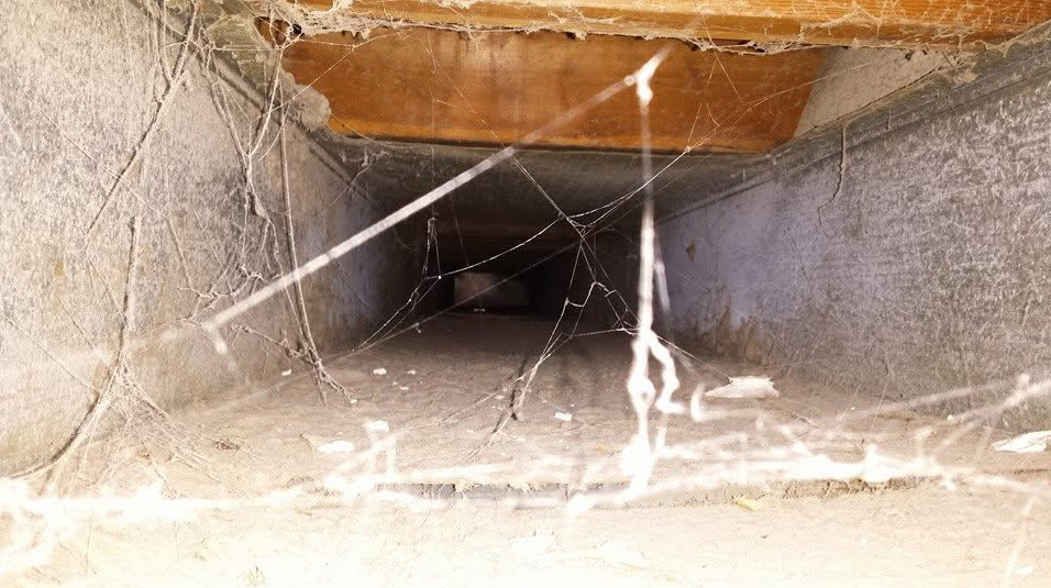 A spider web is hanging from the ceiling of a room.